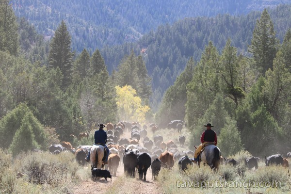 Tavaputs Ranch